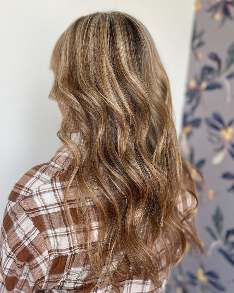 Highlights