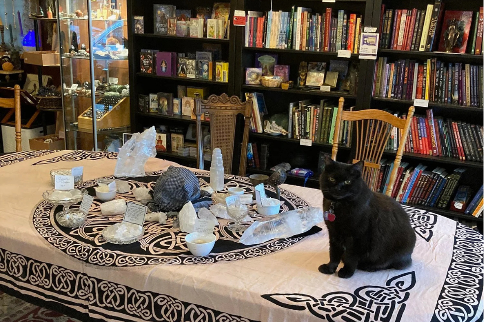 Magical finds at The Raven's Wing Co-op, plus Crow the cat.